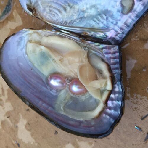 QZjewelryfy Oval Beads