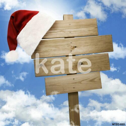 VinylBDS No Creases Photography Backdrops Vintage Wood Can Be Washed For Anybody Backdrops Photo Studio NTZC-022