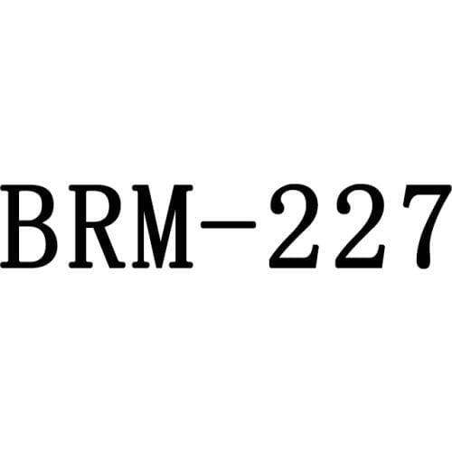 Slip On Shoes Men Casual Shoes Leather New 2019 Male Footwear BRM-227