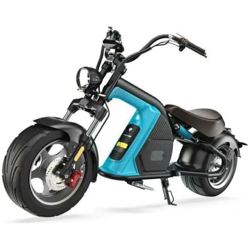 EEC COC Electric M8 Citycoco 60V 2000W 20AH Brushless 12inch Electric Motorcycle Electric Motor Long Range