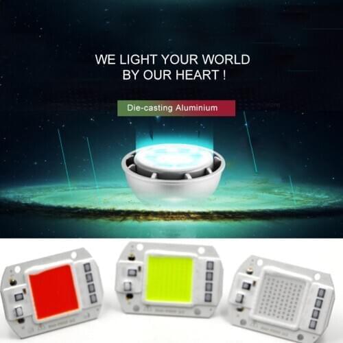 Viktorovna LED Bulbs