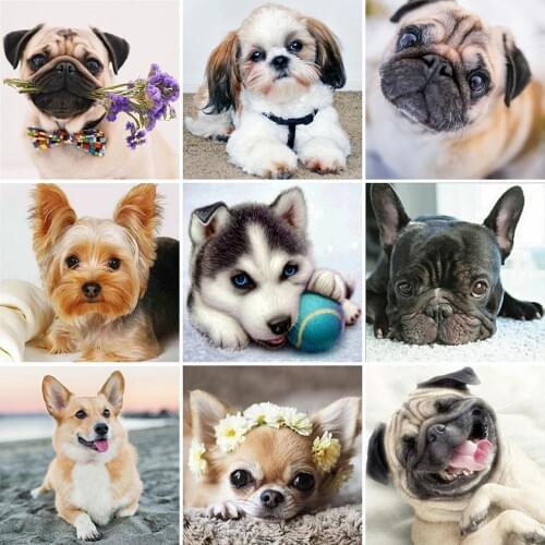 Evershine 5D DIY Diamond Embroidery Dog Full Square Round Diamond Painting Animals Cross Stitch Mosaic Home Decoration