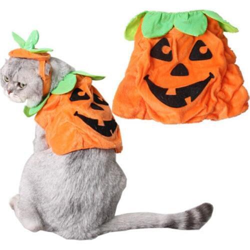 Funny 1 PC Halloween Pumpkin Hat Cap for Dogs Cats Cute Costumes Caps Pet Hats Cat Dog Puppy Hair Accessory Adjustable Cat Decor