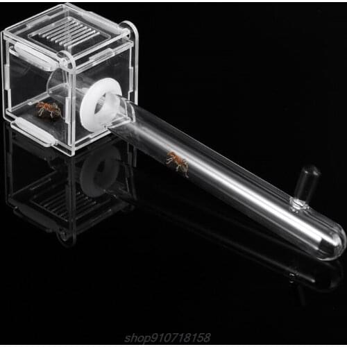 Ant Nest Glass Tube Mini Ant Nest with Active Zone Insect House Acrylic Ant Farm M12 21 Dropship