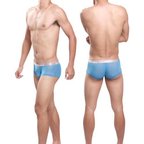 Sexy Men Underwear Mesh Boxer Shorts Breathable Transparent Underpants Mid-waist U Convex Pouch Panties Cueca calzoncillos M-XXL