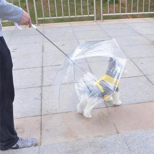 Pet Umbrella Cute Waterproof Transparent Dog Puppy Pet Umbrella For Outdoor Rain Travel Hiking Keep Pet Dry in Rain Snow Umbrela
