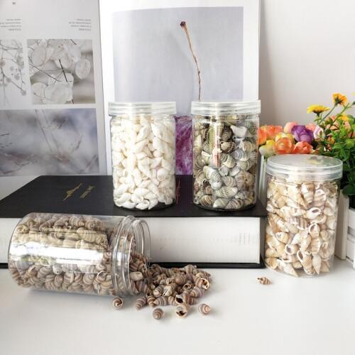 1 box Mini Natural Beige Shell Conch Beads sea conch Making Cowry Cowrie l Jewelery Craft Accessories sea star natural crafts