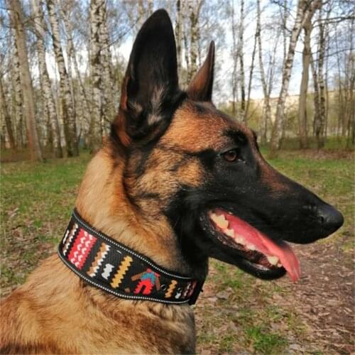 Fashion Print Big Dog Collar Leather for Medium Large Dogs Reflective Puppy Pet Collars and Leash Sets Pets Accessorie Supplies