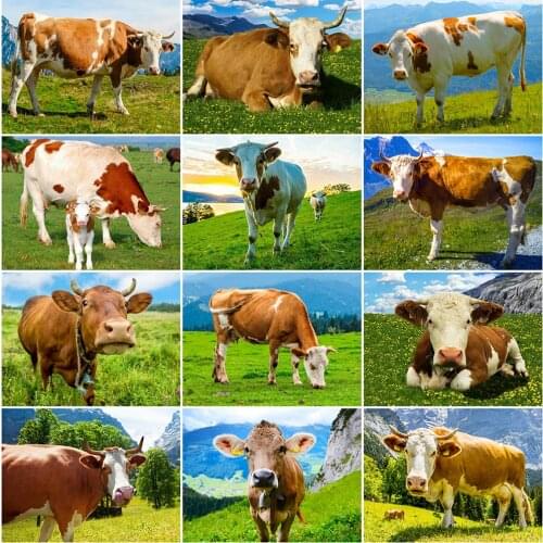 Evershine Full Square Round Diamond Embroidery Cow Animal Cross Stitch Diamond Painting Cattle 5D DIY Mosaic Farm Home Decor