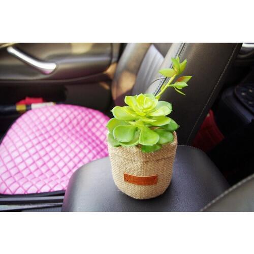 Car Ornaments Succulents Bamboo Charcoal Remove formaldehyde Activated carbon package Car bamboo package
