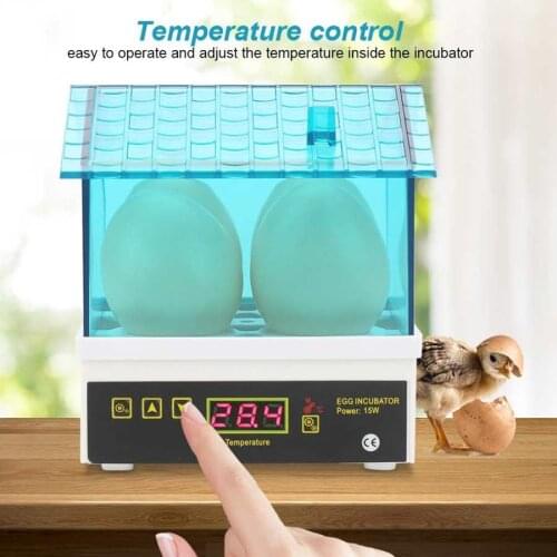Digital Temperature Small Brooder 4 Mini Hatchery Egg Incubator Hatcher for Chicken Duck Bird Pigeon Quail