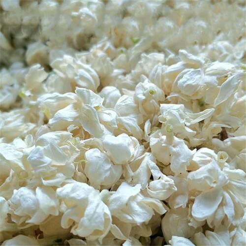 100G Premium dried pure jasmine flower buds dried snowball jasmine bud