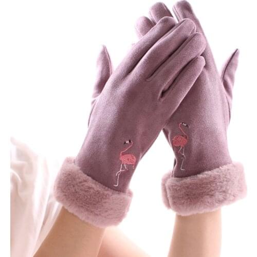 Womens autumn and winter warm gloves plus velvet cold-proof touch screen mobile phone non-slip driving and riding