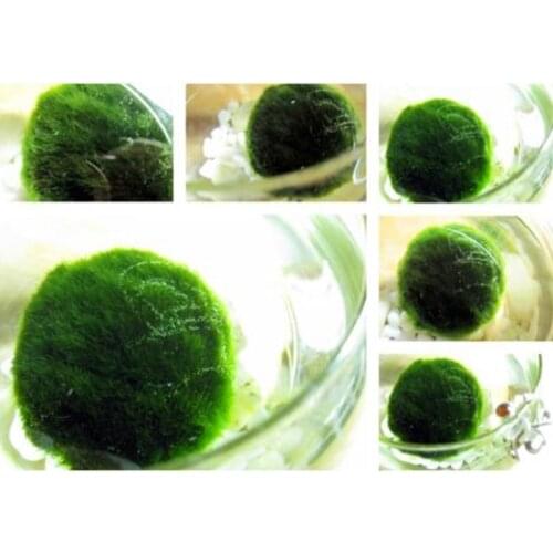 Artificial Moss Ball Fish Tank Aquarium Decor Ornament 2.5-4.5cm Natural Plants