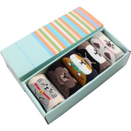 2021 Fashion women cartoon socks gift box 5pairs/lot autumn-winter colorful dog cotton socks lady and womans new years socks