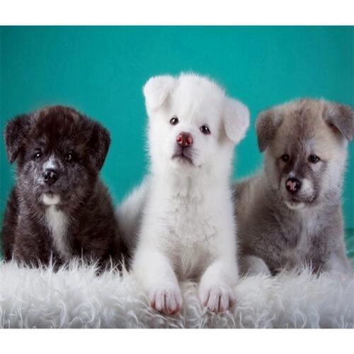 Full round DIY Diamond Embroidery Animals cute Dog Cross Stitch Wall Decor Kids Gifts 5D Series Diamond Painting Kits