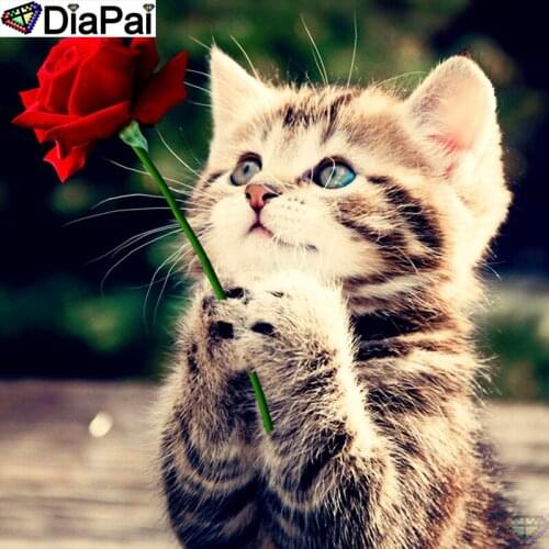 DiaPai 100% Full Square/Round Drill 5D DIY Diamond Painting "Animal cat flower" Diamond Embroidery Cross Stitch 3D Decor A20755