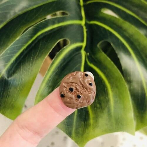 1pcs Cookie bead Flatback Figurine DIY Accessories Fit Phone Case Scrapbook Decor Home Craft Cabochon