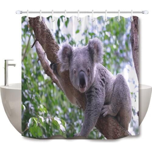 72'' Cute Koala Looking Straight At The Camera Bathroom Waterproof Fabric Shower Curtain Polyester 12 Hooks Bath Accessory Sets