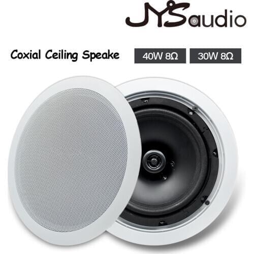 Coxial Ceiling Speaker Big Power Bass PA System Speaker Background Music Subwoofer Fixed Resistance Frequency Pro Loudspeaker