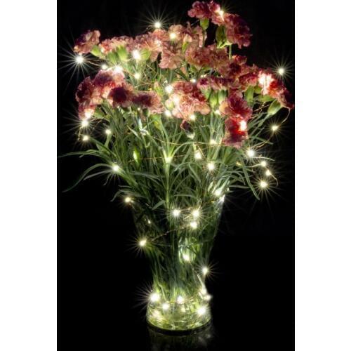 10M 100 led 3AA Battery Powered Outdoor Timer LED Silver Color Copper Wire Fairy String Lights for Christmas, Holiday and Party