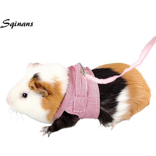 Sqinans Animal Care Items