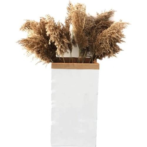 Free Shipping 20 Pcs Wedding Use Pampas Grass Bunch Natural Dried Flowers Plants Reed Raw Color For Home Office New Years Decor