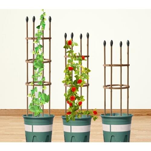 Durable Creative Vines Climbing Rack 60cm Flower Decorative Gardening Tools Vegetables Plant Trellis Plant Support Frame Plant