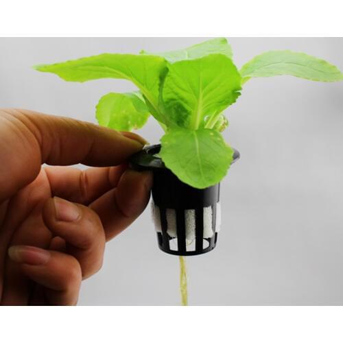 10pcs/set Hydroponic Plant Mesh Pot Flower Planting Container Aeroponic Plant Grow Cup Soilless Cultivation Basket