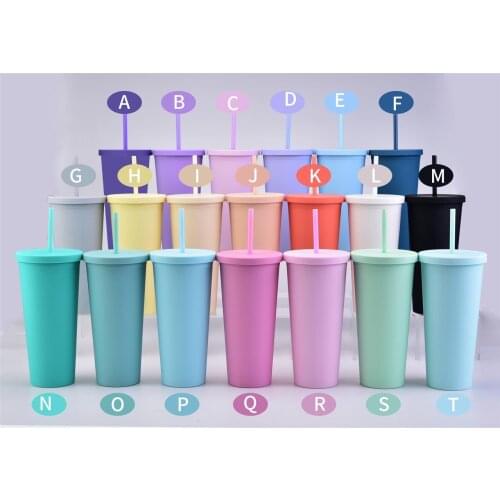 22OZ double wall matte finish reusable skinny plastic tumbler double wall tumbler with straw