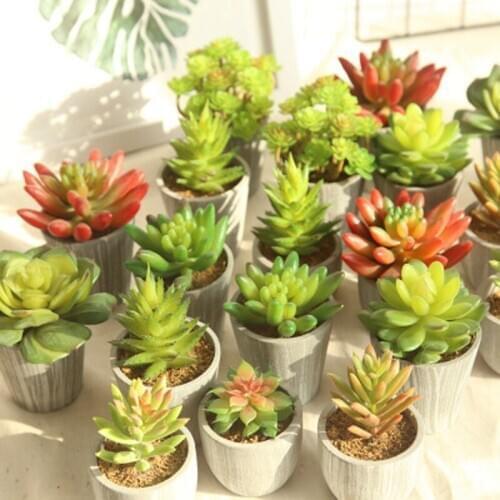 Flocking Artificial Succulents Plants Bonsai Desktop Vivid Plants Wedding Decoration Plant Plante Artificielle 1pc