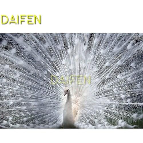 5D DIY Diamond painting Cross stitch Full Round Diamond mosaic Full Square Diamond embroidery White peacock opening