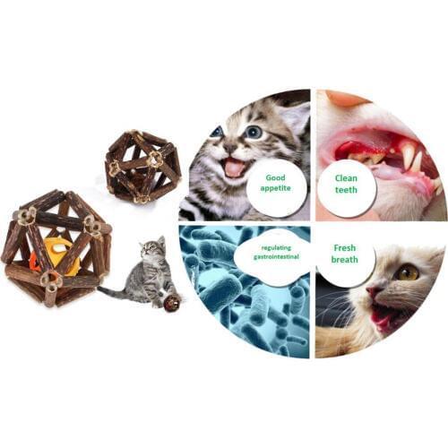 Catmint Herbal Leaf Food for Cat High Quality Healthy Food Catnip Organic Leaf Mint