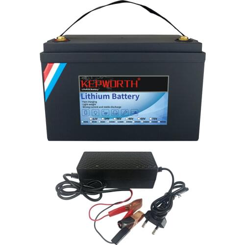 12V 24V 40 60 80 100 120 160 200 240 320Ah LiFePO4 Lithium Iron Phosphate Battery With BMS For Golf Cart EV RV Solar Energy