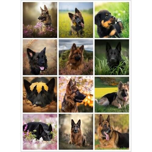 Full Round Diamond Painting German Shepherd Diamond Mosaic Animal Diy 5d Diamond Embroidery Dog Cross Stitch Home Decoration