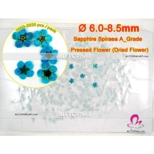 Professionail Nail art spiraea dried flower 2000-2020pcs/lot sapphire bridal wreat pressed natural dry flower - Free shipping