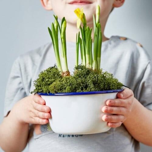 Nordic Enamel Planter Style Colorful Flowerpot Succulent Planter Green Plants Shape Garden Pots