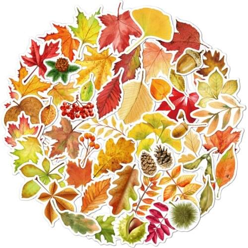 55Pcs style Vinyl Cute Nature Maple Leaves Stickers for Water Bottles Waterproof Aesthetic Stickers for Girls for Laptop Car