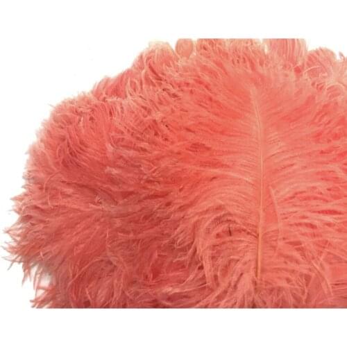 100 pcs Salmon Bird Feather 1 5x2 Süslemelik wedding bride mariage хна henna