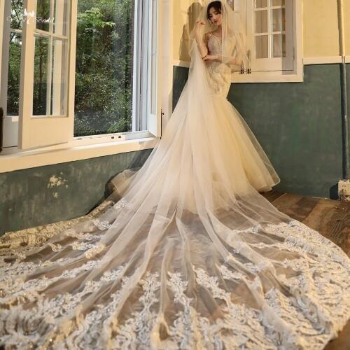 LZP540 Elegant Long Lace Bridal Veil Two Layer Cathedral Wedding Veil