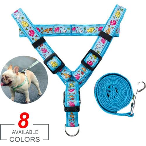 Small and Medium Dog Cat Harness Leash Adjustable Vest Collar Puppy Outdoor Walking Chihuahua Terier Schnauzer