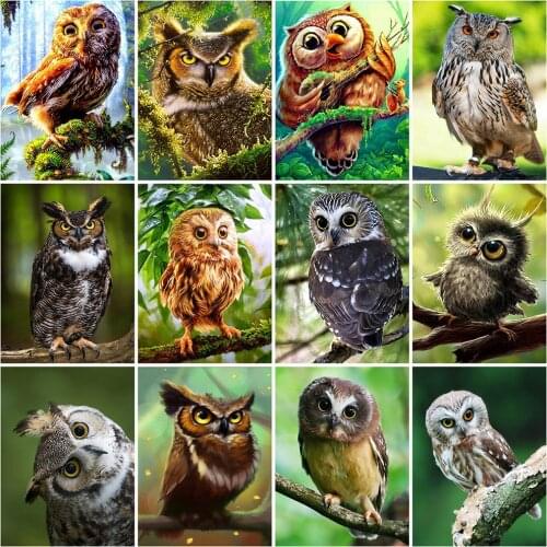 MomoArt 5D DIY Diamond Painting Owl Cross Stitch Mosaic Diamond Embroidery Animal Craft Kit Home Decorations