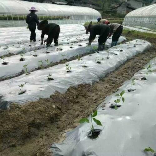 40m~5m 0.012mm Agricultral Silvery Black Reflective Film Orchard Tee Planting Plastic Mulch Film Greenhouse Vegetable Care Cover