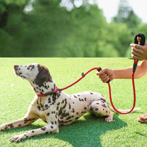 AIWAI Leashes For Dogs