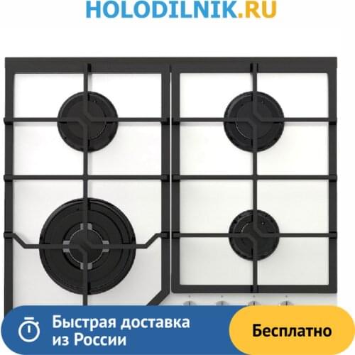 LEX Portable Gas Stoves