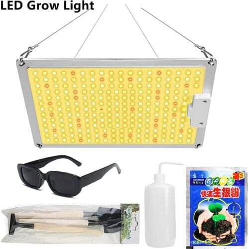 Full Spectrum 600W LED Grow Light High PPFD 3X3FT For Indoor Greenhouse Tent Seedling Veg Blooming Plants Fruit Growing Lamp
