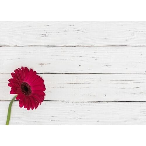 Planks Backdrop Red Chrysanthemum and White Wooden Board Photography Background Holiday Celebration Photo Booth Studio Decor