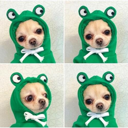 Macroupta Sweatshirts For Dogs