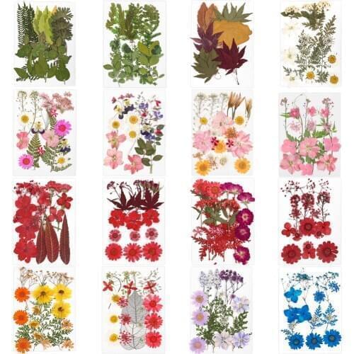 Pressed Flowers Real Dried Flowers Dry Plants For Preserved Flower DIY Epoxy Resin Pendant Necklace Jewelry Making Craft