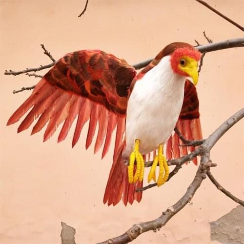 Real life Bird feathers eagle model about 30x50cm spreading wings eagle home garden decoration prop toy gift h1289